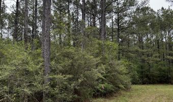 Hwy 49 lot 1, Brooklyn, MS 39425