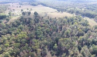 County Road 113, Alton, MO 65606