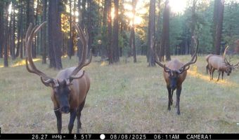 1881 Mill Rd, Anatone, WA 99401