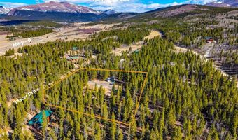 265 Placer Dr Lot 10, Alma, CO 80420