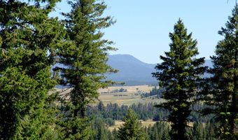 Skunk Creek Road, Cascade, ID 83611