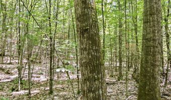 38 F Lang Rd, Bath, NH 03740