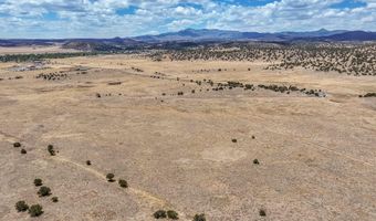 New Mexico 246, Capitan, NM 88316