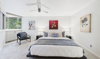 506 W Hallam St, Aspen, CO 81611