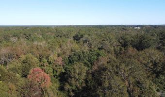 0 Cowpen Creek Rd, Atmore, AL 36502