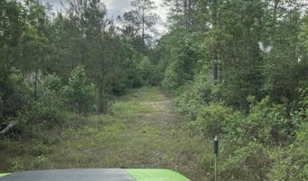 40 Acres Forestry Road 356, Beaumont, MS 39423