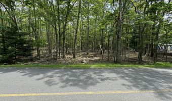 407 Sklyline Dr, Albrightsville, PA 18210