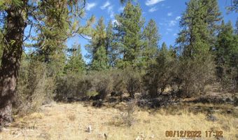 Brown Bear Lane lot 12W2, Bonanza, OR 97623