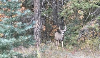 705 NM-120, Angel Fire, NM 87710