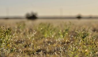 State Highway 214, Adrian, TX 79001