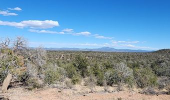 Scorpion lot 50, Ash Fork, AZ 86320