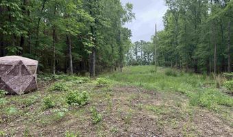 0 CR 3216, De Kalb, TX 75559