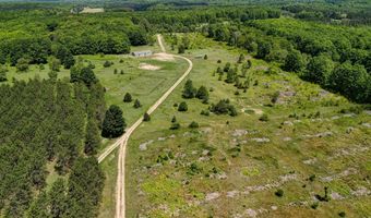 303 Westwood Rd NW, Alden, MI 49612