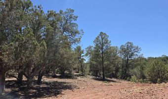 450 Arizona Rd, Ash Fork, AZ 86320