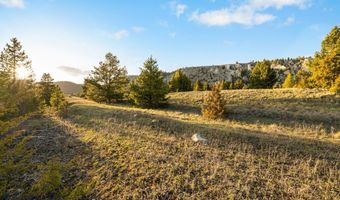 NHN Lime Spur Road, Anaconda, MT 59711