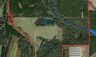 County Road 127, Banks, AL 36005