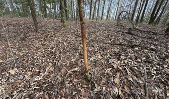 County Road 72, Ariton, AL 36311