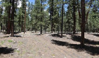 80 Ranch Rd, Bayfield, CO 81122