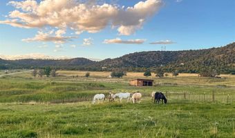 800 Heartwood Ln #17, Bayfield, CO 81122