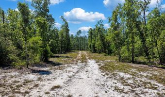7000 NW 7th Way, Bell, FL 32619