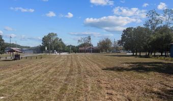 Main St, Bell, FL 32619