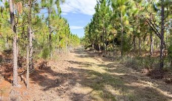 100 Doc Hunter Rd, Baxley, GA 31513