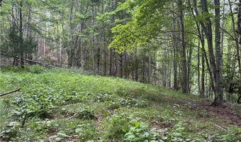 1143 Rominger Rd, Banner Elk, NC 28604