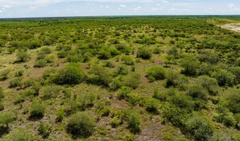 County Road 119, Alice, TX 78332