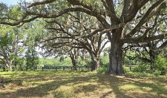 10333 NW 132ND Dr, Alachua, FL 32615