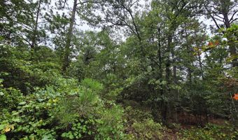 Cleora Murray Drive lot 9 & 10, Aiken, SC 29801