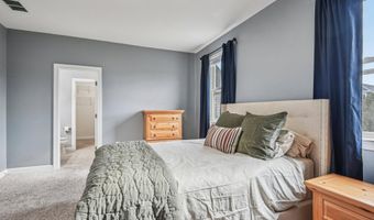 25842 YELLOW BIRCH Ct, Aldie, VA 20105