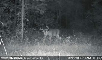 8624 CTH P, Argonne, WI 54511