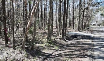 0 Lot 1 Creek Place Rd, Arapahoe, NC 28510
