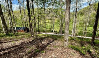 411 Alum Cave Rd, Annville, KY 40402