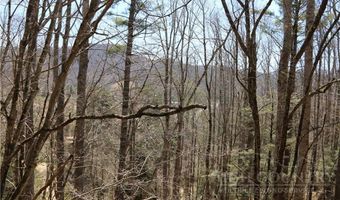 31 Maple Dr B, Banner Elk, NC 28604
