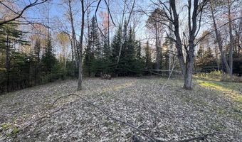V/L Wildwood Road lot 1, Alger, MI 48610
