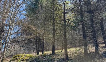 tbd Big Sky Lane, Banner Elk, NC 28604