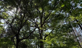 0 County Road 217, Blue Springs, MS 38828