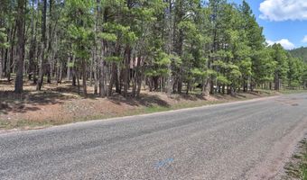 Lot 563 Lakeview Park Drive, Angel Fire, NM 87710