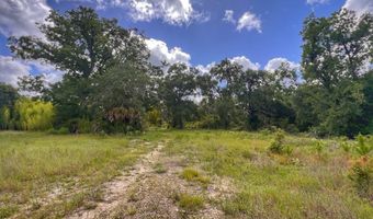 7009 129 Hwy, Bell, FL 32619