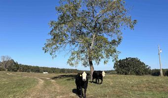 000 County Road 113, Alton, MO 65606