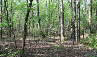 Ruffner Road 00, Barnesville, GA 30204