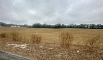 NW 31st Ave, Bell, FL 32619