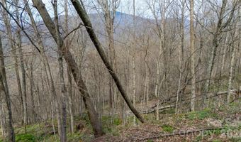 Tyler Lane, Bakersville, NC 28705