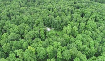 40 Acres The Grade Rd, Amasa, MI 49920