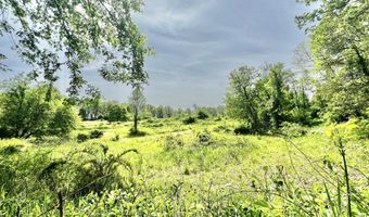16400 28 Mile Rd, Albion, MI 49224