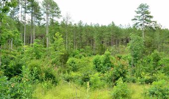 Lot 3 TBA MELITA RD 3, Arvonia, VA 23004