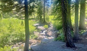 2337 Bear Falls Ln, Alpine Meadows, CA 96146