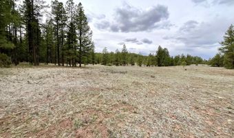 99 Big Notch Forest Trl, Bluewater, NM 87005
