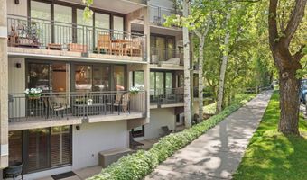 800 E Hopkins Ave A-3, Aspen, CO 81611